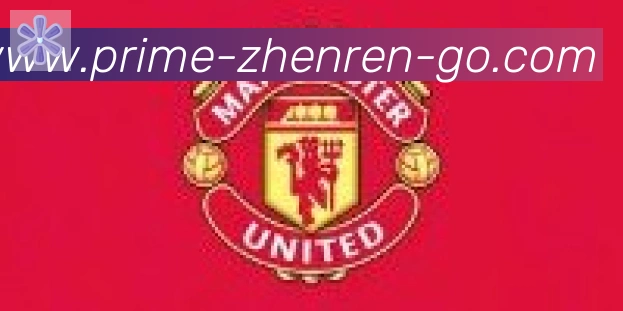 BG真人合作伙伴